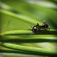 /album/festhascallswep/photolia-a05-jpg/