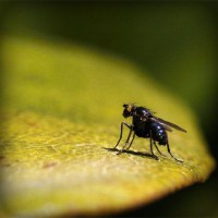 /album/festhascallswep/photolia-a07-jpg/